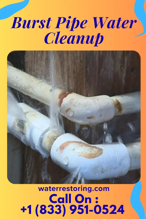 Burst Pipe Water Cleanup in Regent, ND