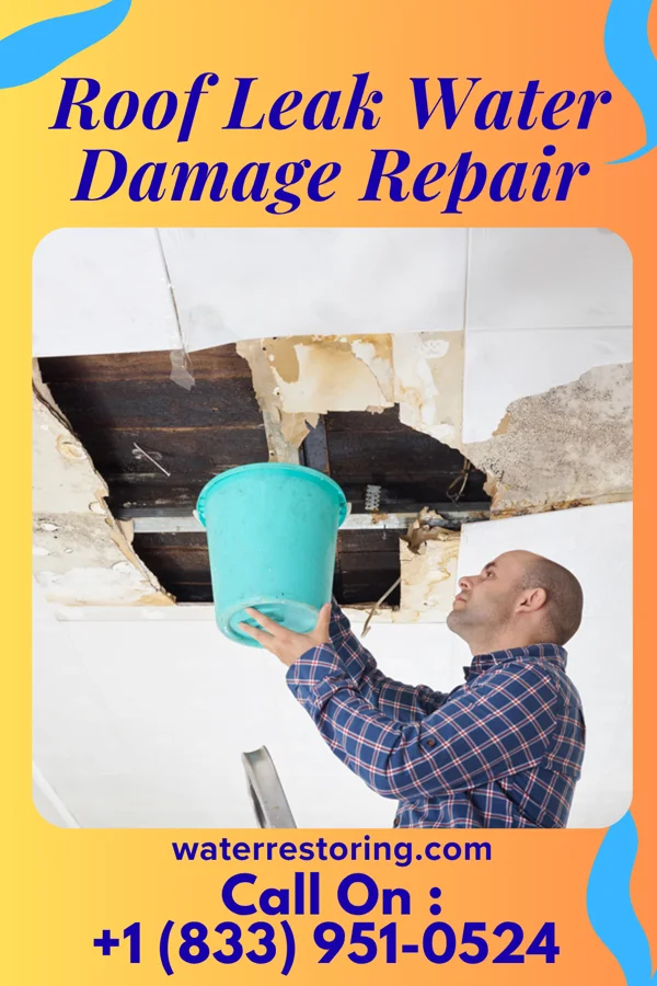 Roof Leak Water Damage Repair in Regent, ND